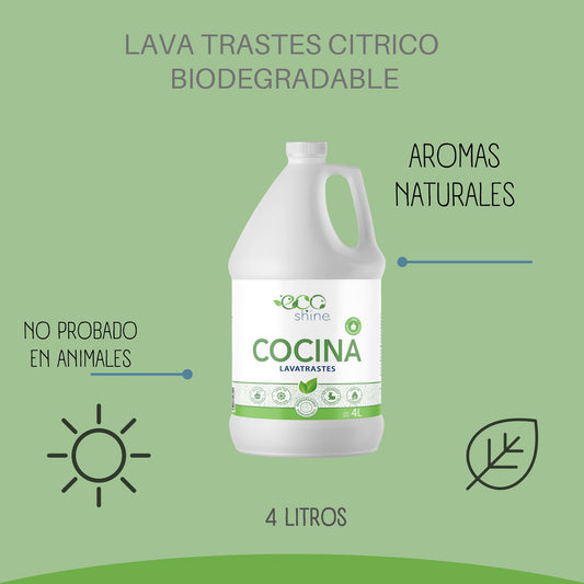 Eco Shine - Lavatrastes de Cocina (4L)
